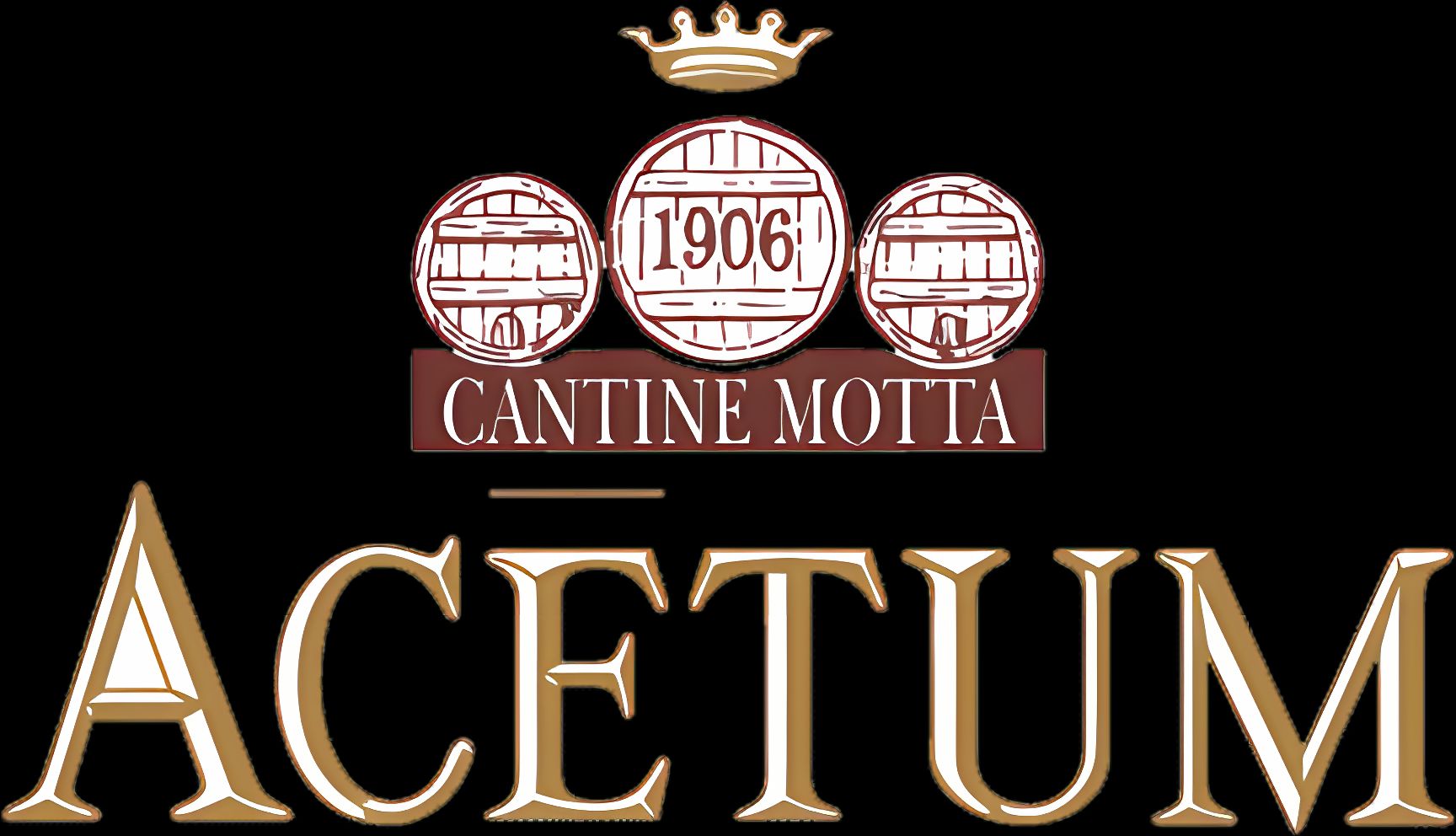 Acetum logo